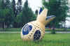 Pome_Granate.jpg (30374 tavu(a))