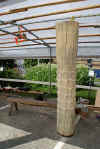 cucu07012011.jpg (30275 tavu(a))