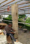 cucu30062011.jpg (30549 tavu(a))