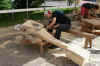 roder30062011.jpg (30566 tavu(a))