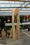 steigemann30062011.jpg (27331 tavu(a))