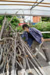 takashi27062011.jpg (34478 tavu(a))